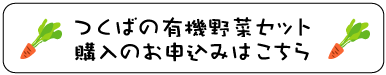 つくばの有機野菜セット　購入のお申込みはこちら