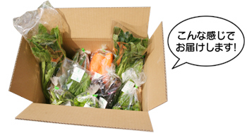 野菜セットこんな感じでお届はけします。