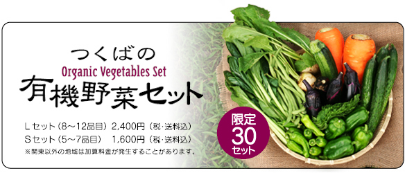 つくばの有機野菜セット　限定30セット　Lセット （8～11品目） 2400円 （税込・送料込） Sセット （5～ 7品目） 1600円 （税込・送料込）